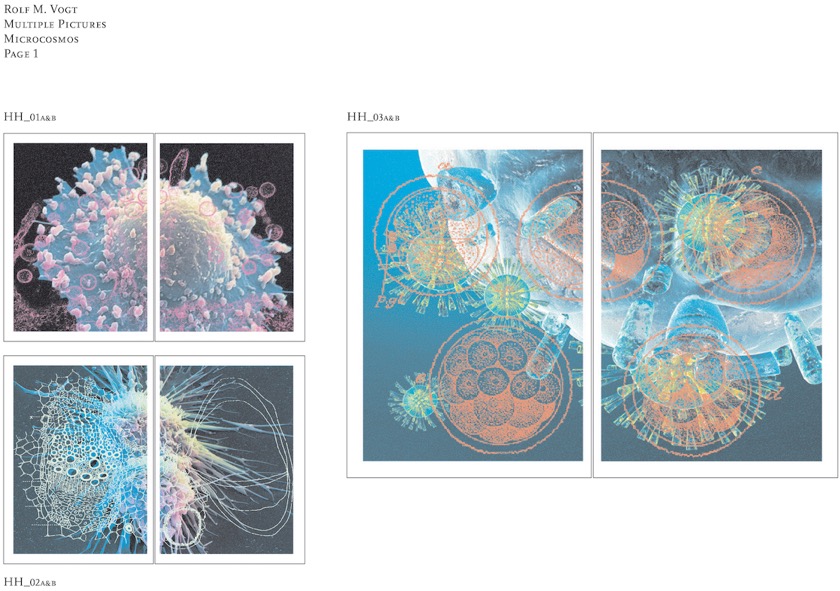 microcosmos