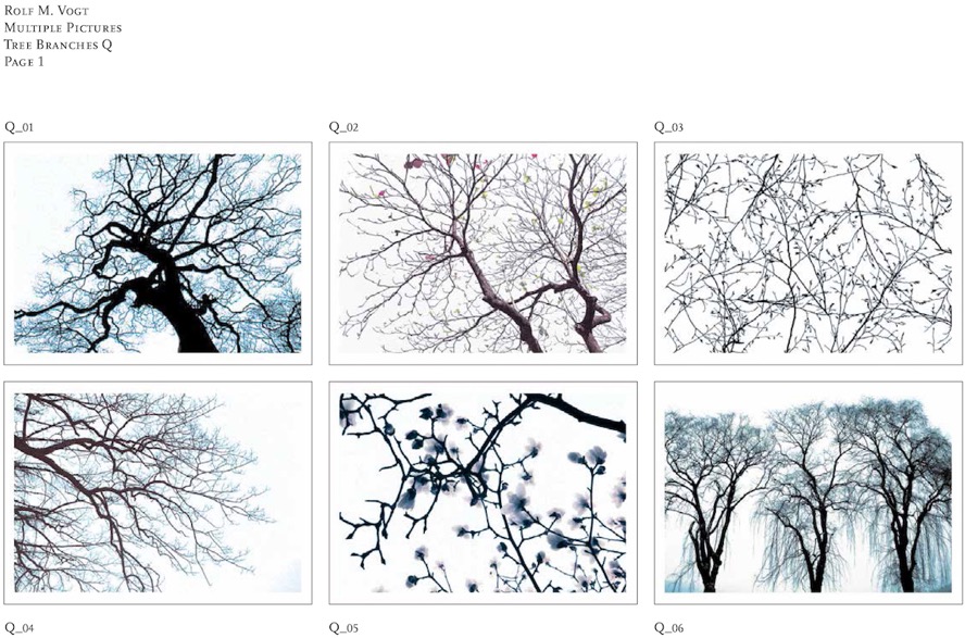 tree_branches